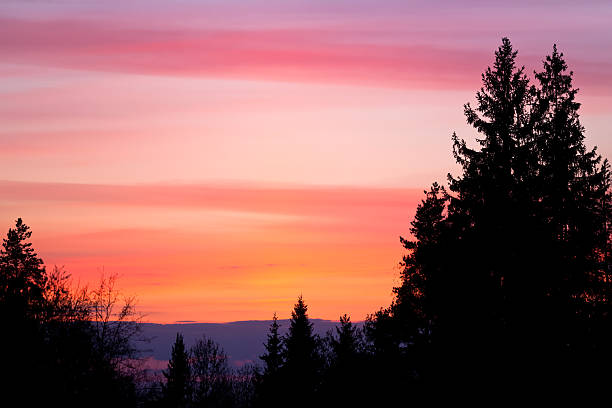 istock Beautiful sunset sky and tree silhouettes 465351392