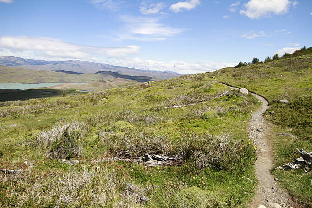 istock W Trek on Torres Del Paine Park 465351766