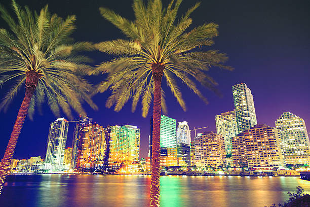 브룩할로우 사스카툰 야경을 - miami florida night florida skyline 뉴스 사진 이미지