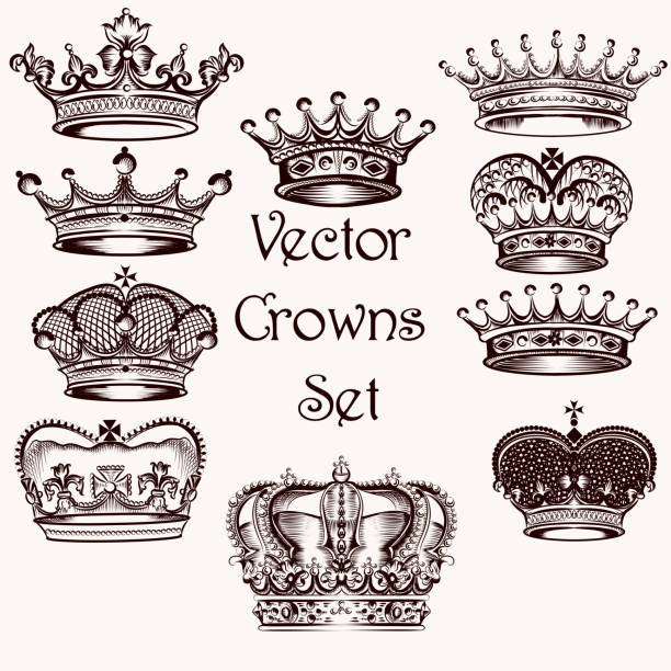 zbiór wektor ręcznie rysowane korony dla projektu - lily fleur de lys king flower stock illustrations