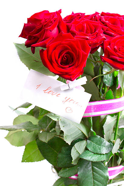 istock red rose isolated  on Holiday 465352171
