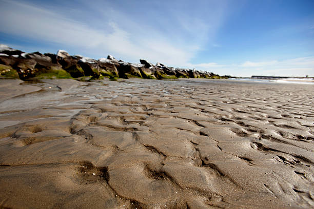 istock Chesapeak Bay at Low Tide 465352572