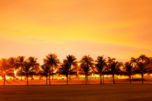 Colorful sunset or sunrise with silhouettes of palm trees, Miami Beach Florida