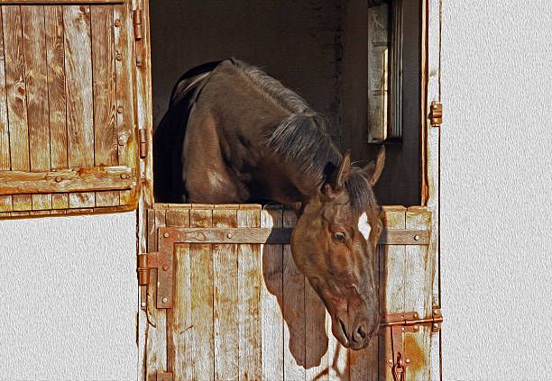 Horse protruding its head from the stable,  stylized and filtered to resemble an oil painting