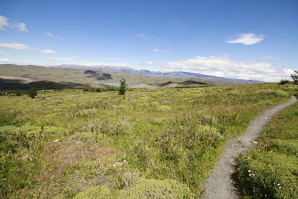 istock W Trek on Torres Del Paine Park 465360788