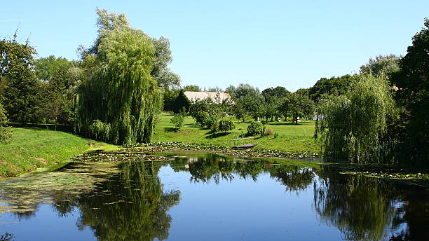 istock Pond in village 465360910