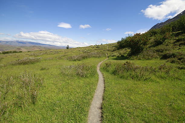 istock W Trek on Torres Del Paine Park 465361068