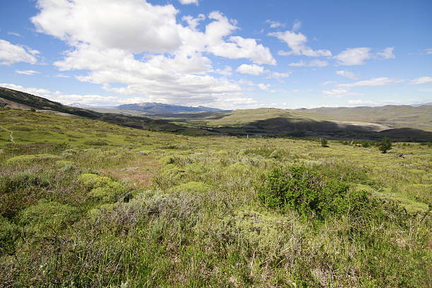 istock W Trek on Torres Del Paine Park 465361070