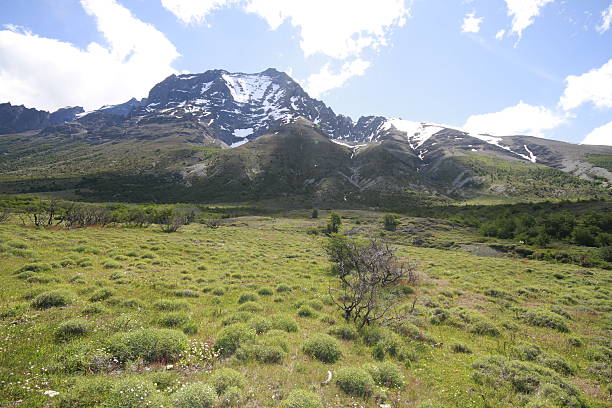 istock W Trek on Torres Del Paine Park 465361616