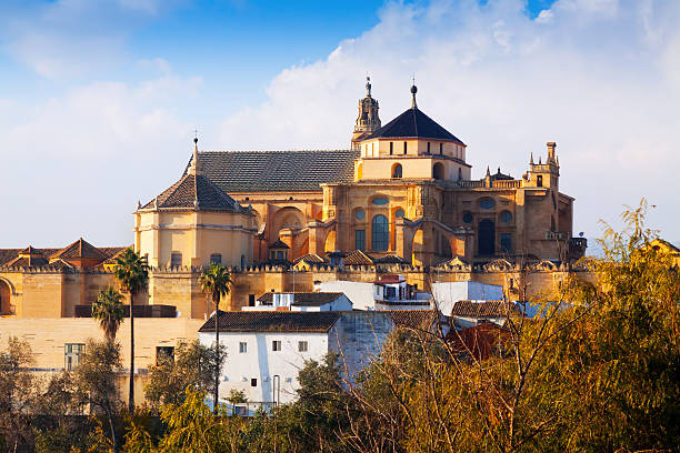 istock Cathedral of Cordoba 465362018