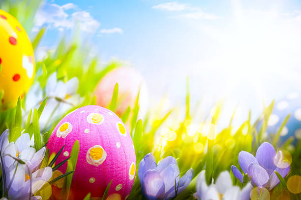 istock Easter eggs  with flowers in the grass 465367504