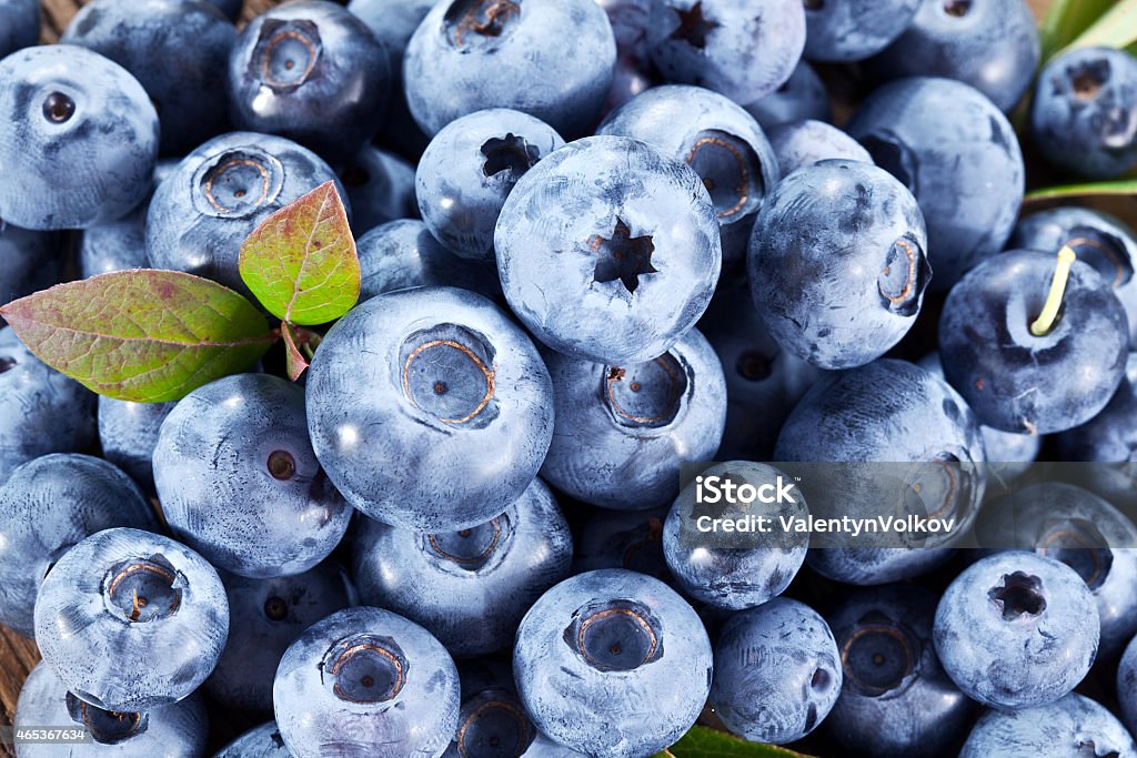 Ripe blueberries - food background. Ripe blueberries - food background. Macro shot. 2015 Stock Photo