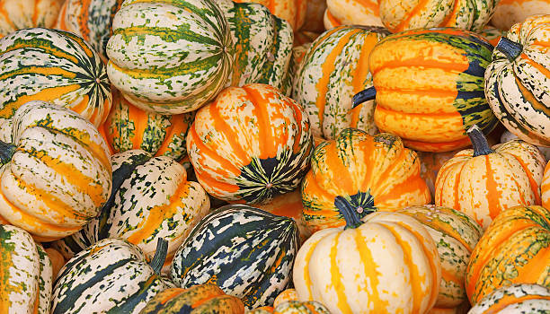 カラフルなカボチャ - squash pumpkin orange japanese fall foliage ストックフォトと画像