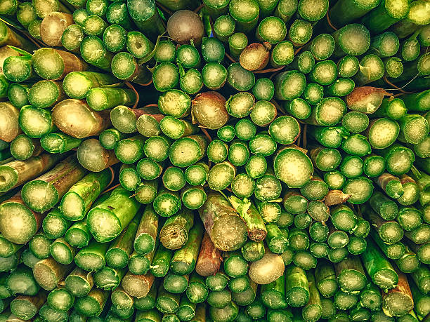 Beautiful texture composed of cut asparagus stalks.