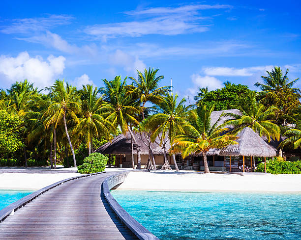 Luxury beach resort Luxury beach resort, footbridge to the paradise, little wooden houses, summer holidays, Maldives island, travel and tourism concept maldives stock pictures, royalty-free photos & images
