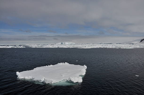 istock The lonely floating icesheet in Antarctica 465376828