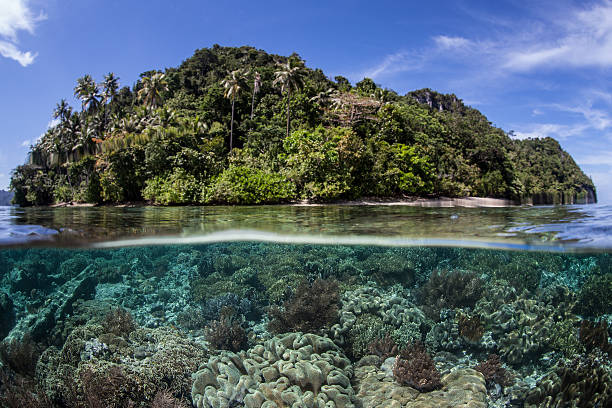istock Equatorial Island and Coral Reef 465377266