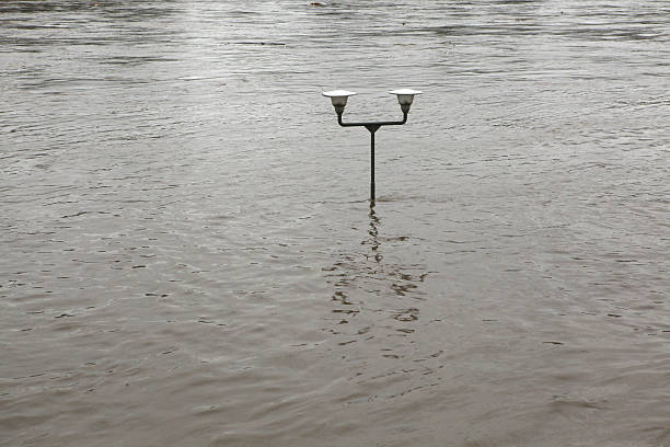 High water levels flooding the floodplains along the Maas River with trees and lamp posts submerged and Martinus Nijhoff Bridge near Zaltbommel, the Netherlands in background