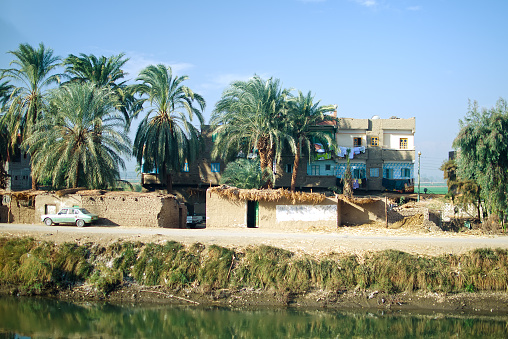 Egypt. Oasis next to the channel of Nile river
