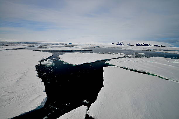fissura o gelo folhas na antártida água - climate change south pole antarctica imagens e fotografias de stock