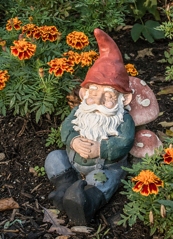 Gnome napping in the sunlight