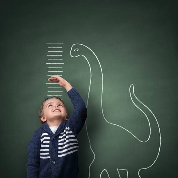 Growing up taller than a dinosaur Young boy measuring his growth in height against a blackboard with chalk dinosaur scale tall person stock pictures, royalty-free photos & images