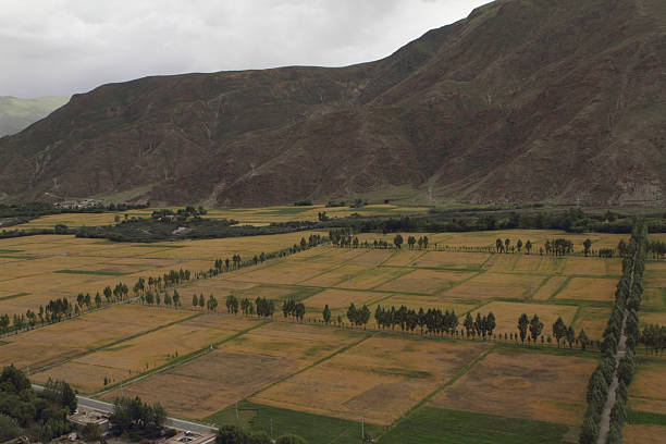 istock The foothills of Tibet 465382330