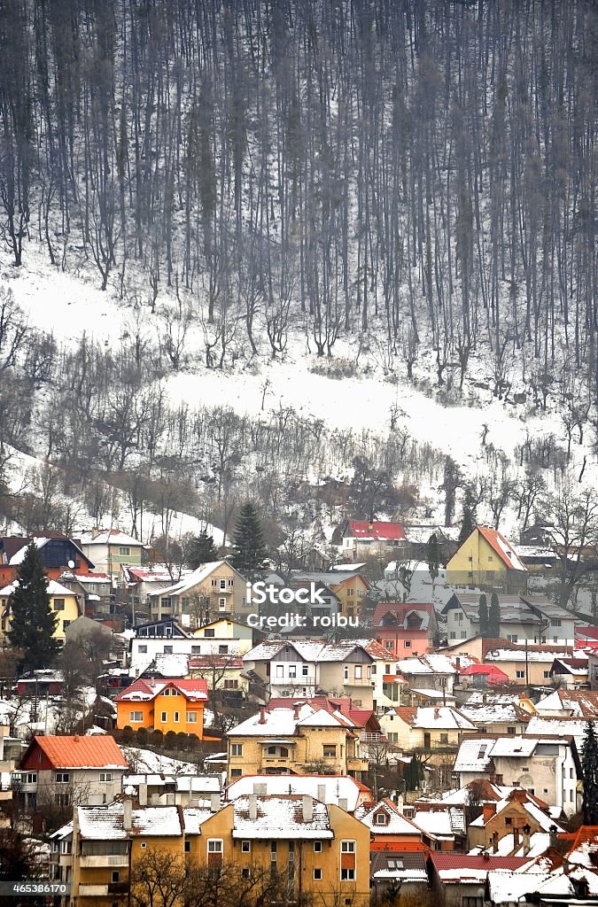 Winter day in old town Winter day urban landscape with old houses covered in snow near a forest 2015 Stock Photo