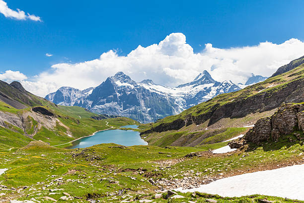 istock Bachalpsee and Schreckhorn 465387596