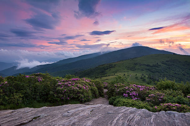 sera crepuscolo sul sentiero appalachiano - blue ridge mountains mountain range north carolina tennessee foto e immagini stock