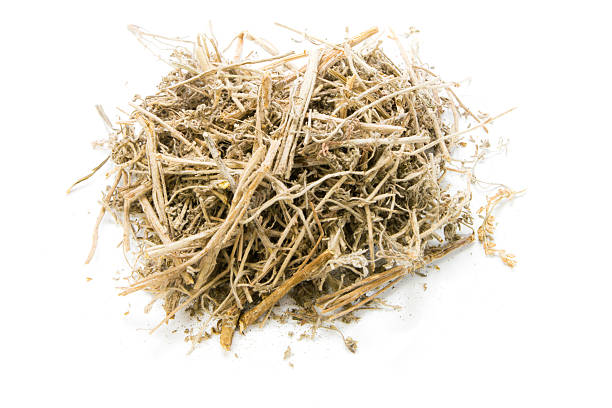 istock Dried Herbs,Artemisia annua L. 465393358