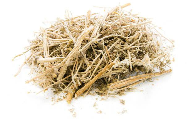istock Dried Herbs,Artemisia annua L. 465393366