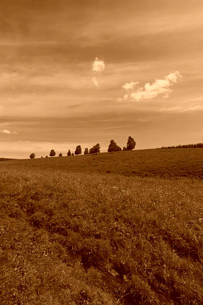 istock beautiful grassland landscape in summer 465393934