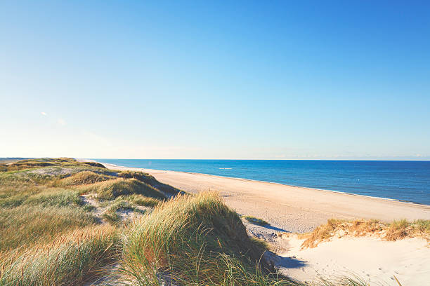 istock Beach by the North Sea 465394258