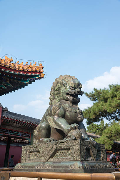 istock Bronze lion statue at Forbidden City in Beijing 465396521