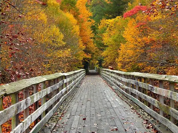 Footbridge on the Appalachian Trail.