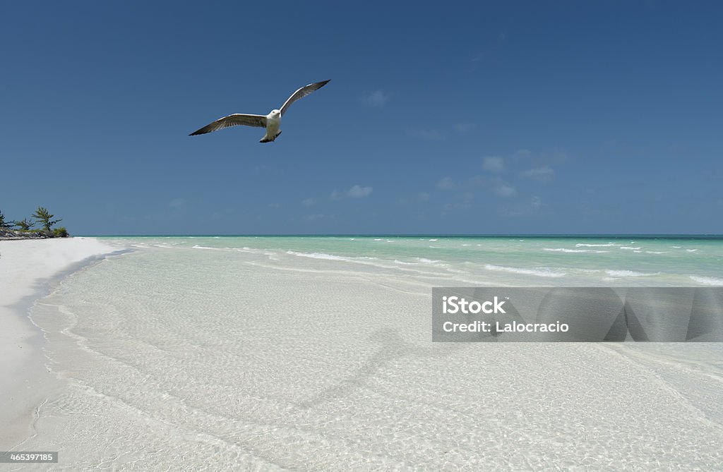 Playa Caribe. - Foto de stock de Agua libre de derechos