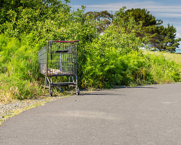 image of baby carriage in the bushes