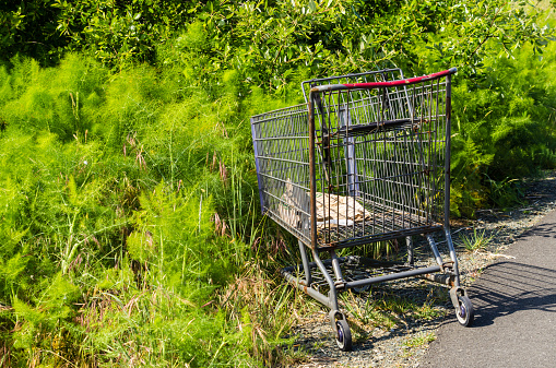 A shopping cart abandoned along a walkway in a park