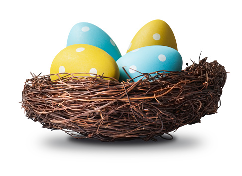 Brightly painted easter eggs in a rustic birds nest made from twigs with clipping path