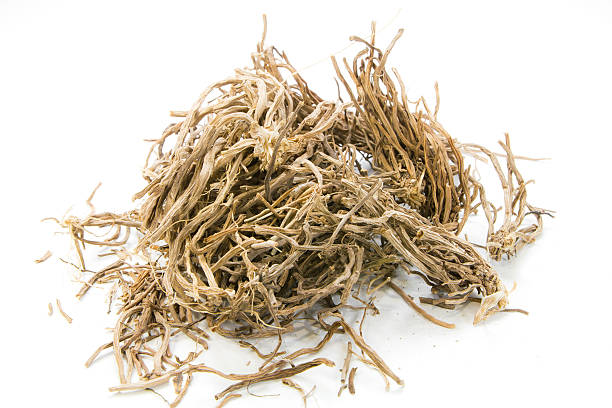 istock Dried Herbs,Vetiveria zizanioides (L.) Nash ex Small 465400892