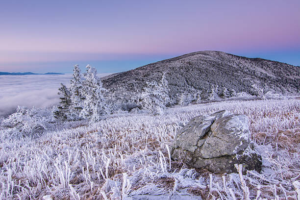 mañana crepúsculo el roan - blue ridge mountains mountain range north carolina tennessee fotografías e imágenes de stock