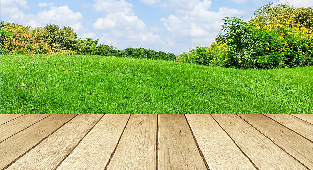 istock Perspective wood over blur landscape background 465403714