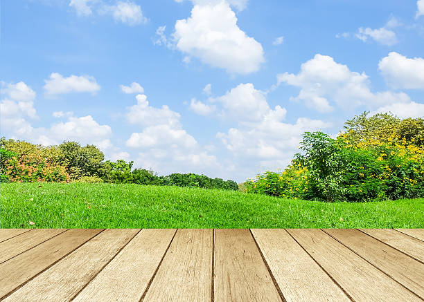 istock Perspective wood over blur landscape background 465404166