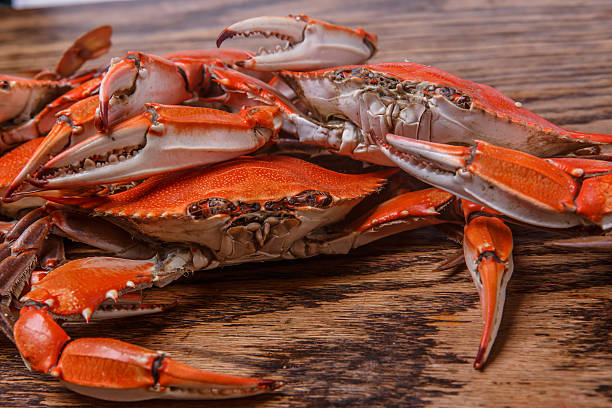 istock Steamed Blue Crabs on a wooden table 465405751
