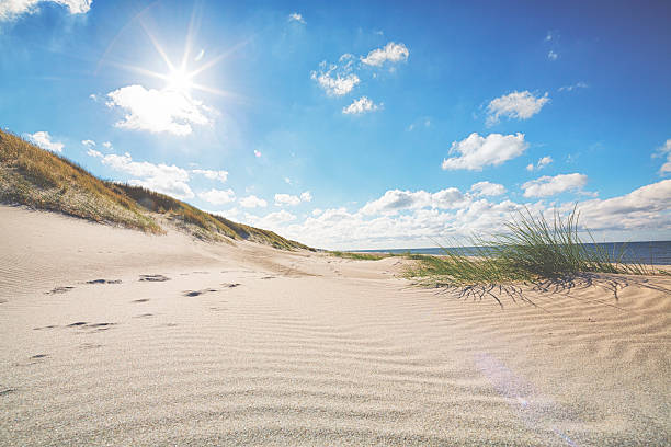 Beautiful beach by the North Sea stock photo