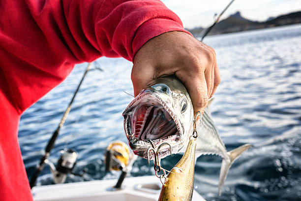 istock Caught Fish and Fishing Reel 465413185