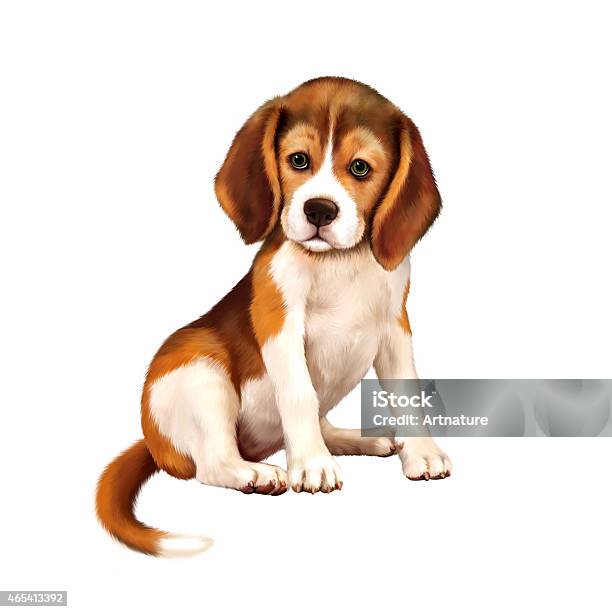Beagle Puppy Siting Over White Background Stock Photo - Download Image Now - 2015, Alertness, Animal