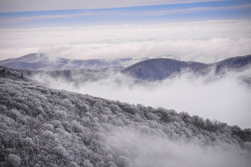 The snow-covered trees in the Appalachian Mountains in the early morning with the fog in the valley. Taken from the top of Round Bald at Roan Mountain. 