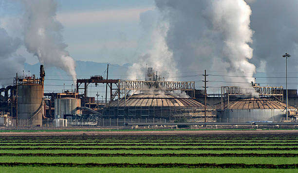 istock Salton Sea Farming 465413746